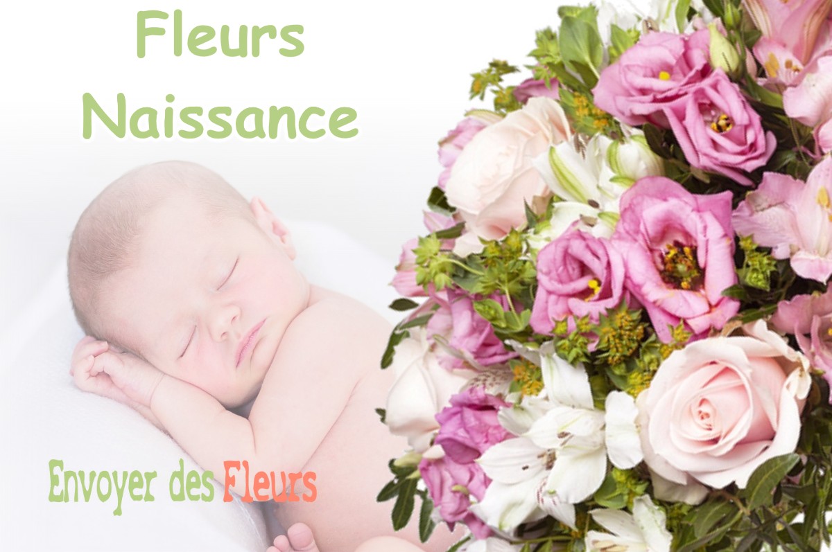 lIVRAISON FLEURS NAISSANCE à SAINT-JEAN-DE-MARSACQ